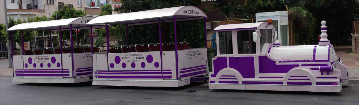 City Tour Train Purple
